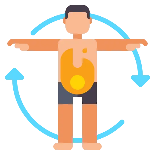 The Body
